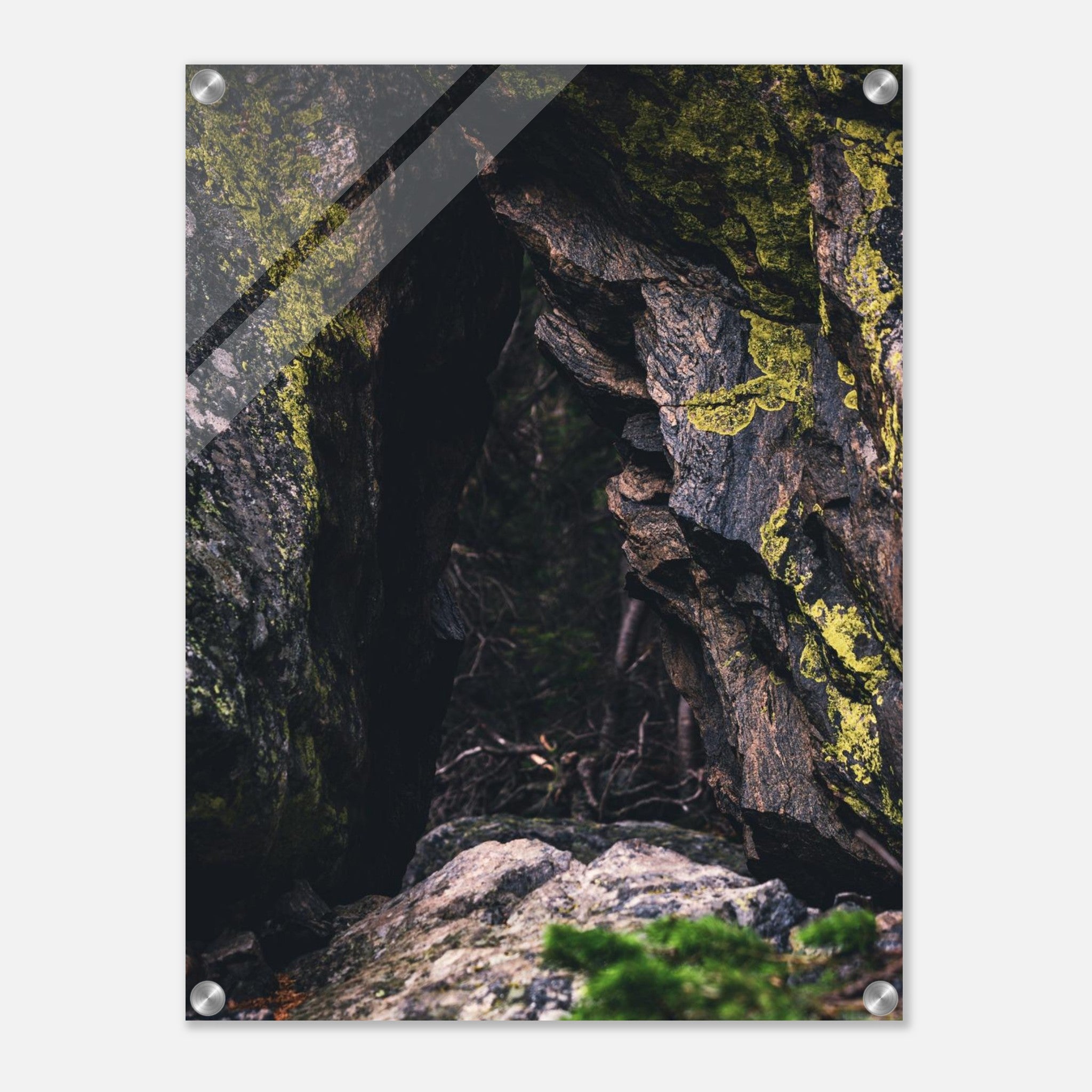 f7ce6d63-8da8-4e88-b18c-d221f8b7ce2b