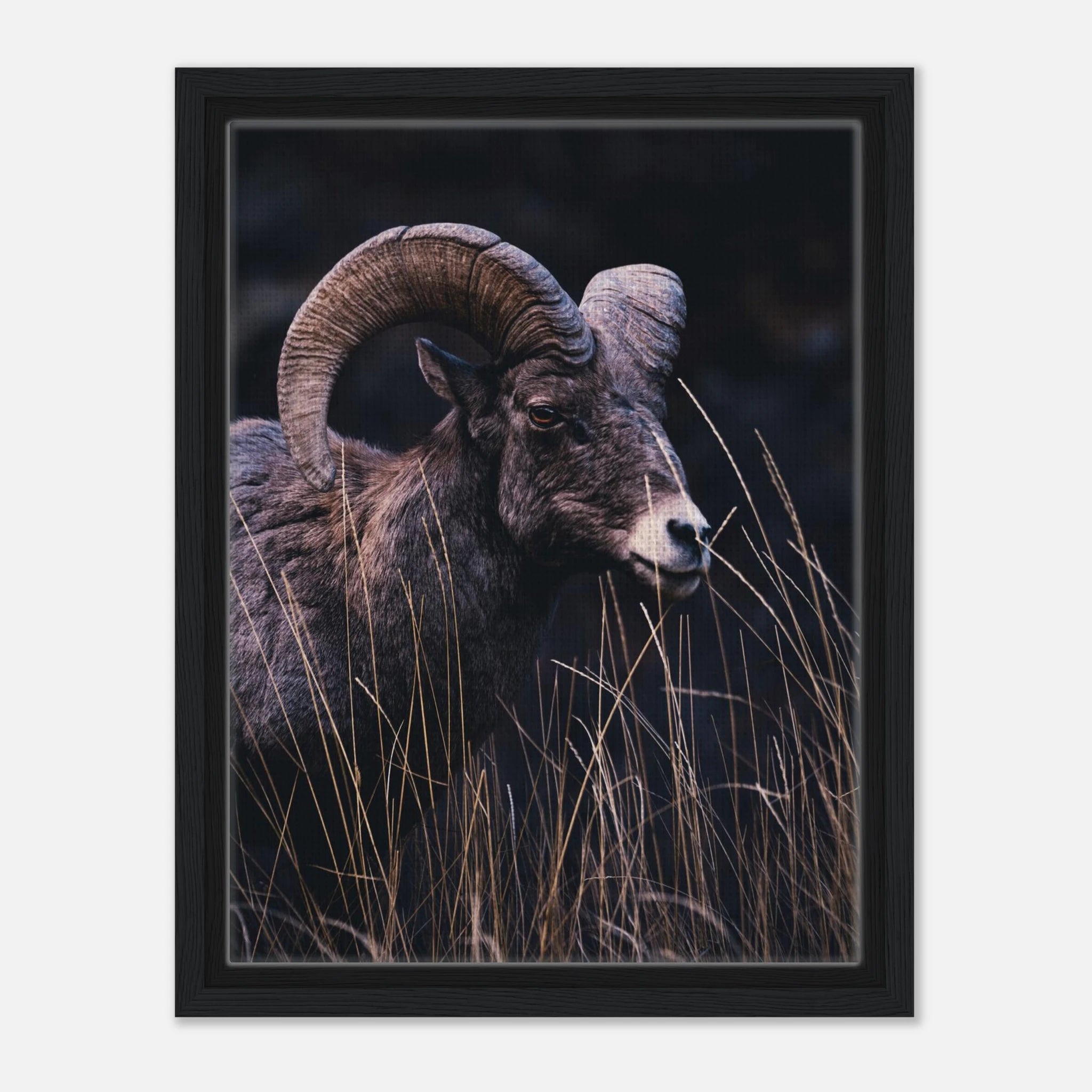 f99062f2-fa3f-449b-b68c-82f5c1cd8a47