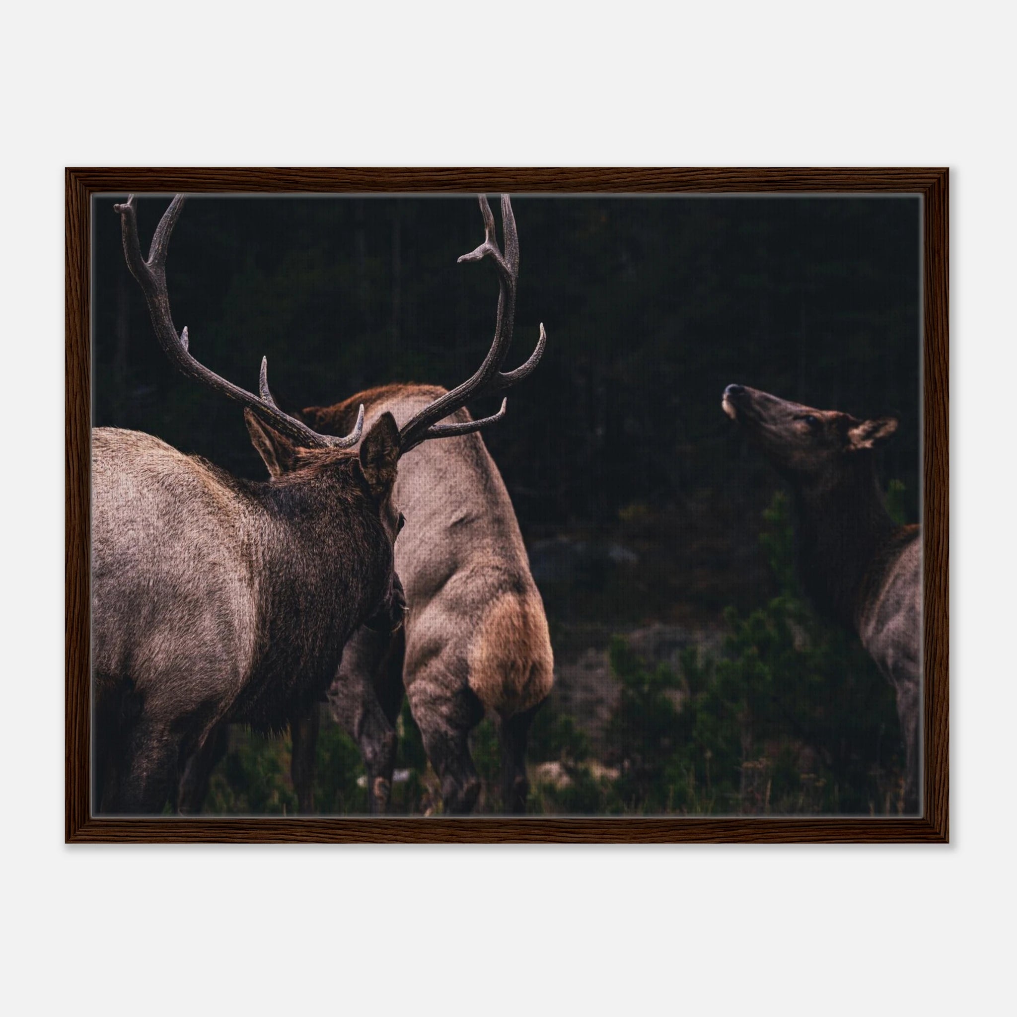 fa286e87-d747-4252-8036-65d899dba50f