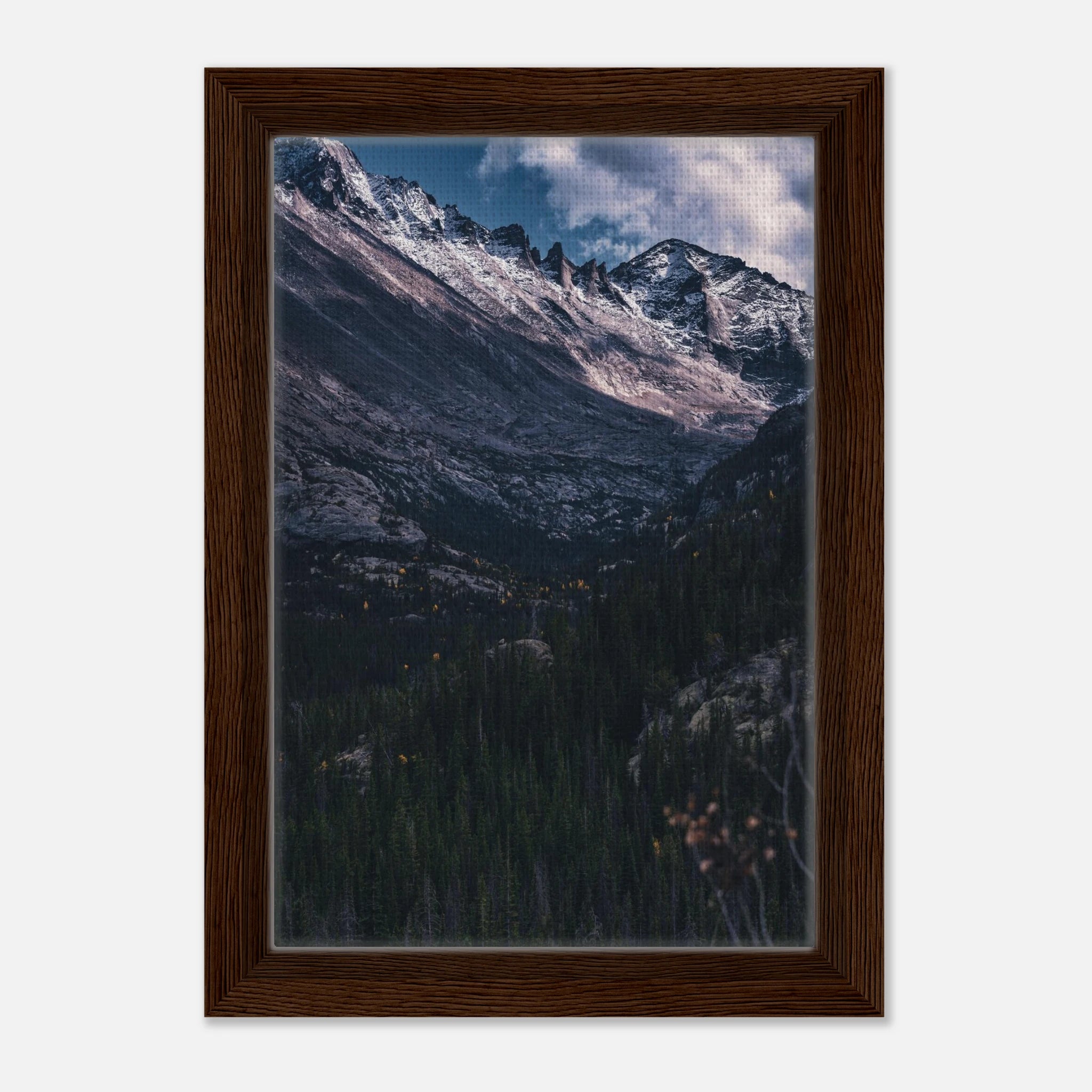 fbc2ec33-c2bf-40d8-a54b-8f8d302feac3