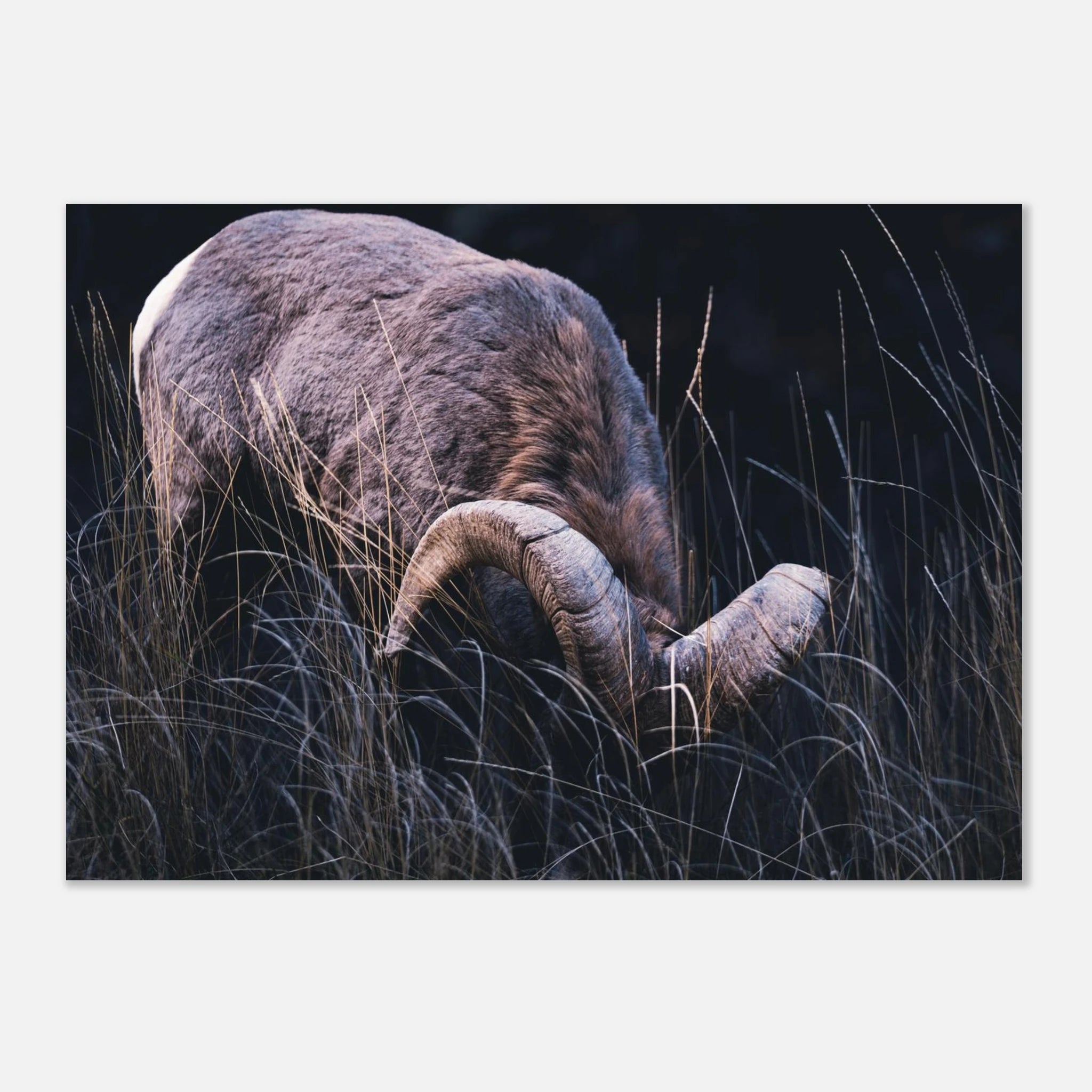 fc13962a-8f28-4e37-ad0a-2aee57cb9a1c