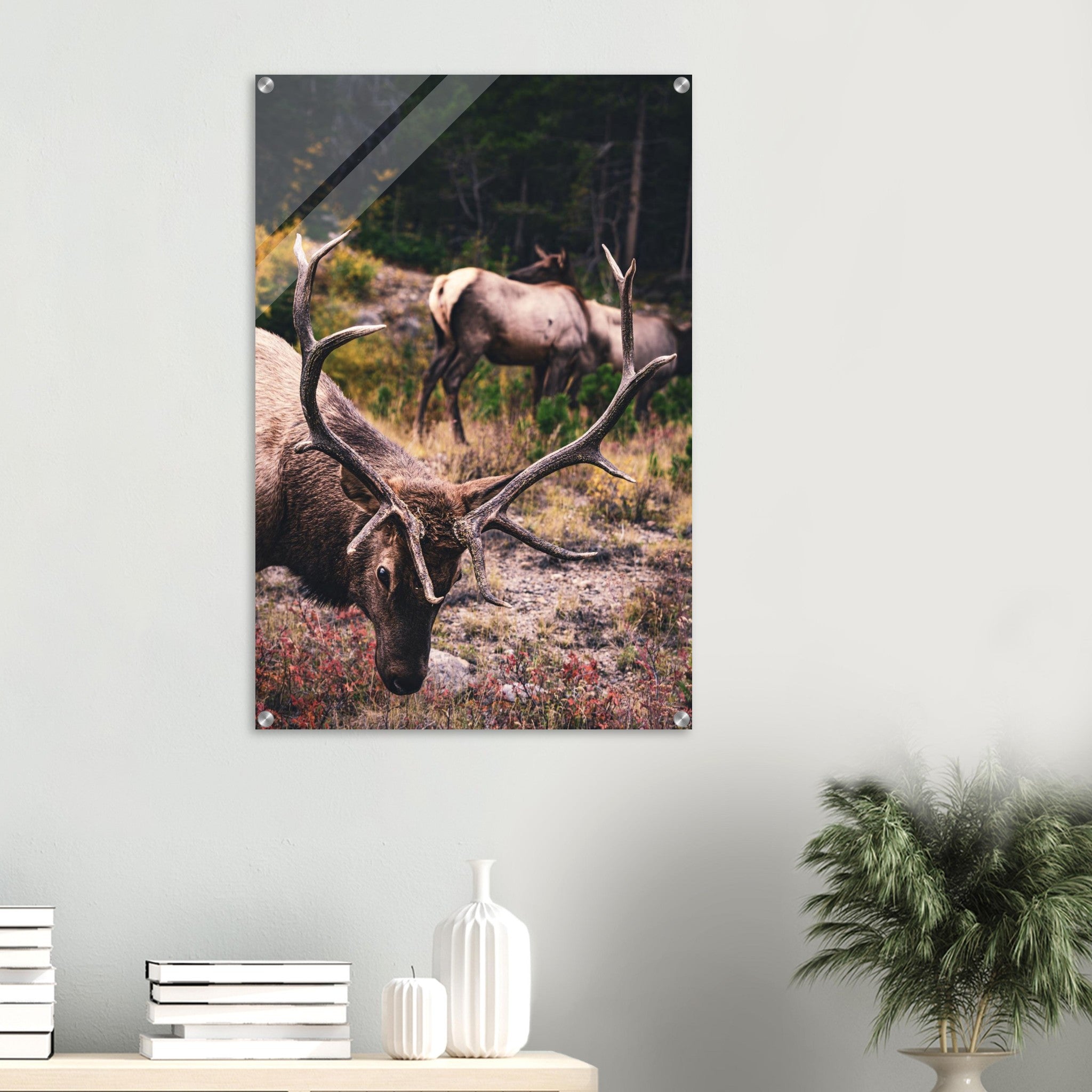 fc201cdd-370a-47d0-a6af-19fb11fd285d