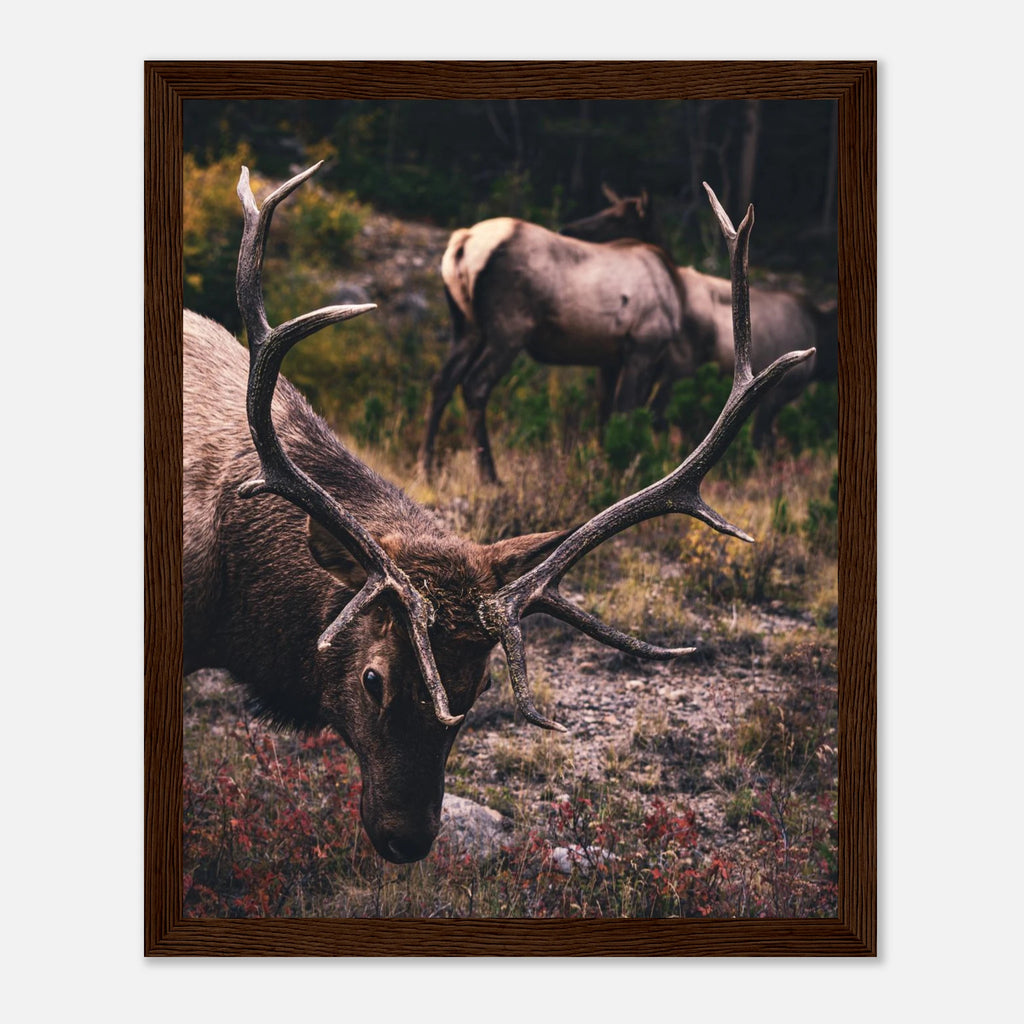 fd8113fa-9dec-42f2-a40e-f6c4f9ba9293