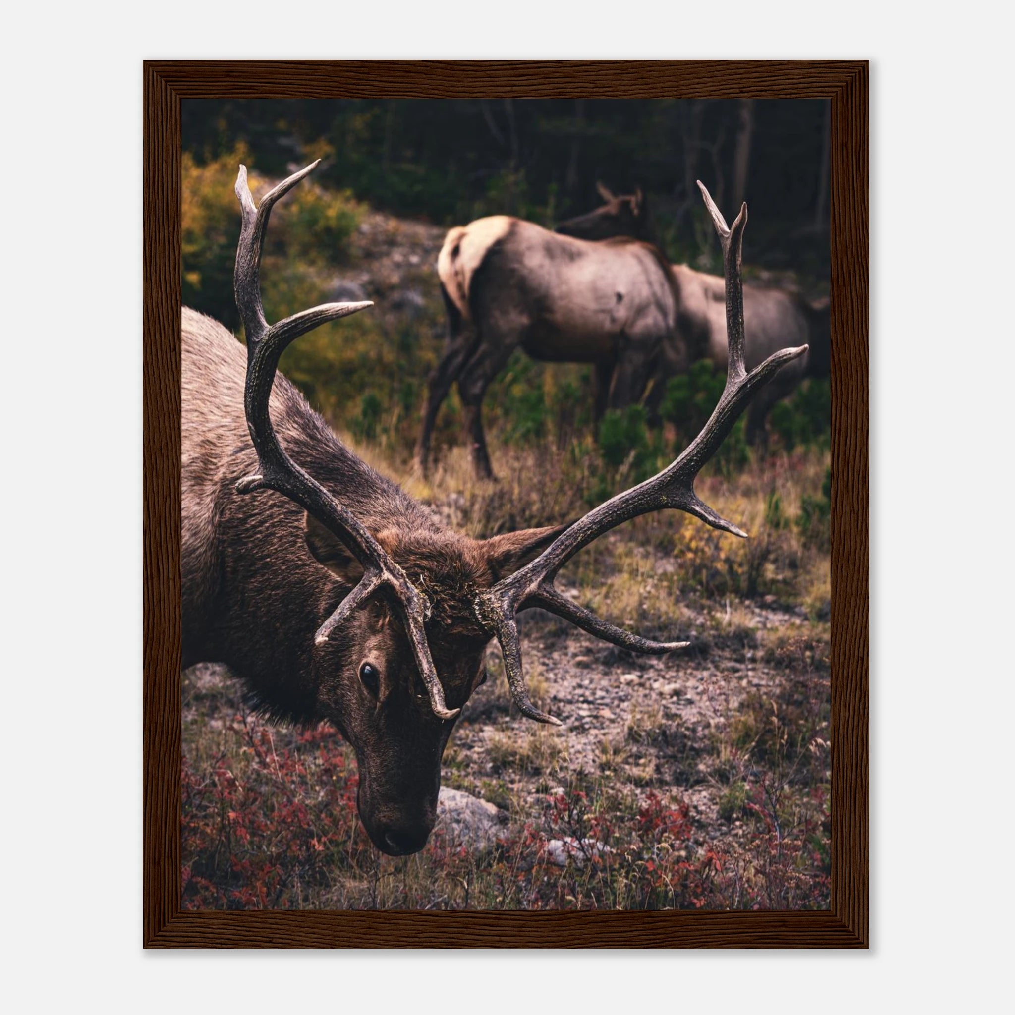 fd8113fa-9dec-42f2-a40e-f6c4f9ba9293