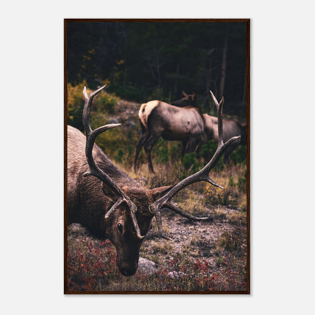 fe861510-95d2-40b8-9a79-a8e8f4888628