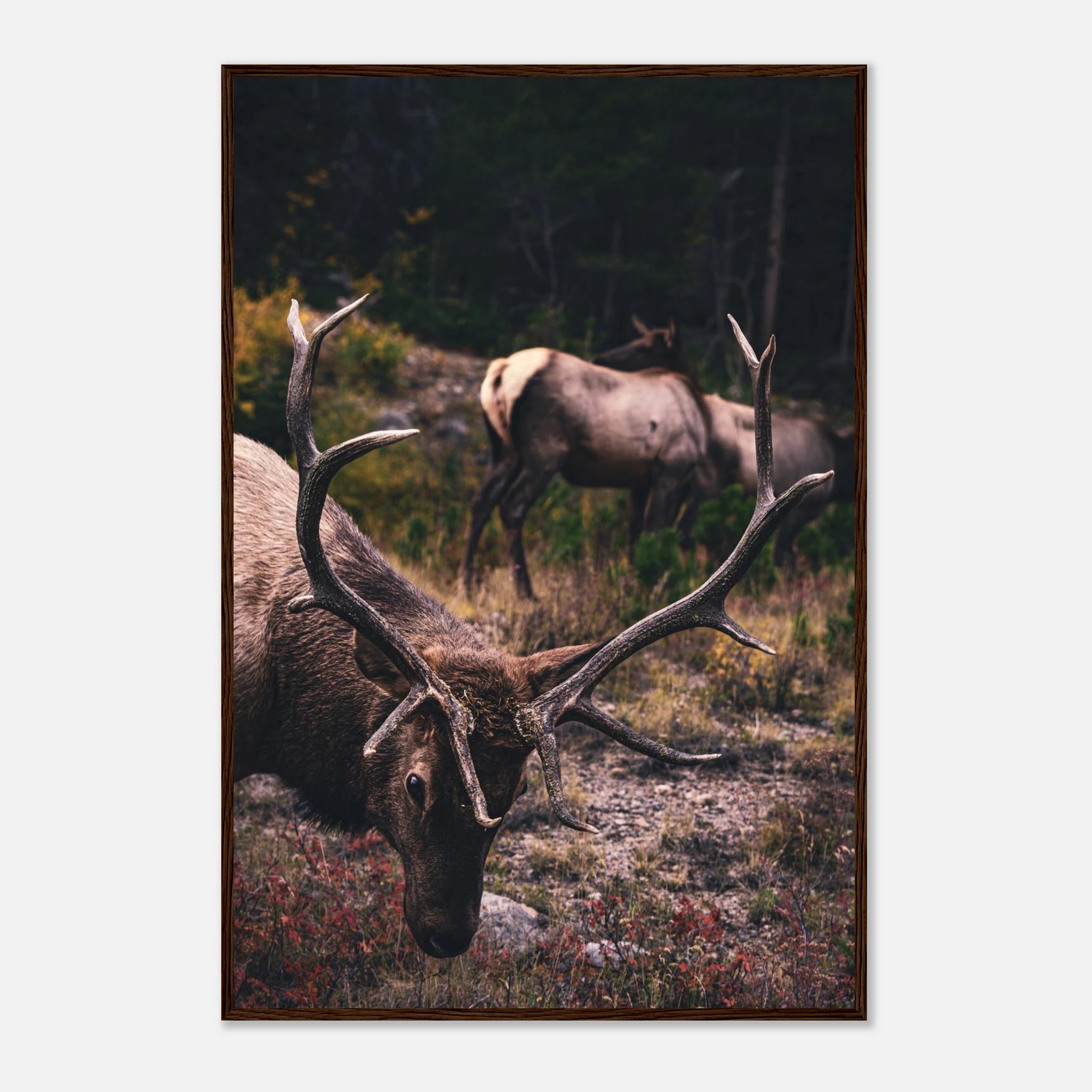 fe861510-95d2-40b8-9a79-a8e8f4888628