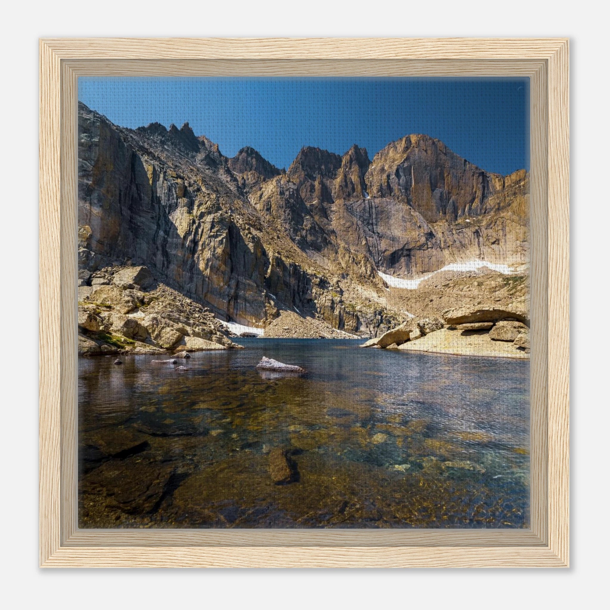 ff265285-2a58-4ad5-a675-4809f2b123ef